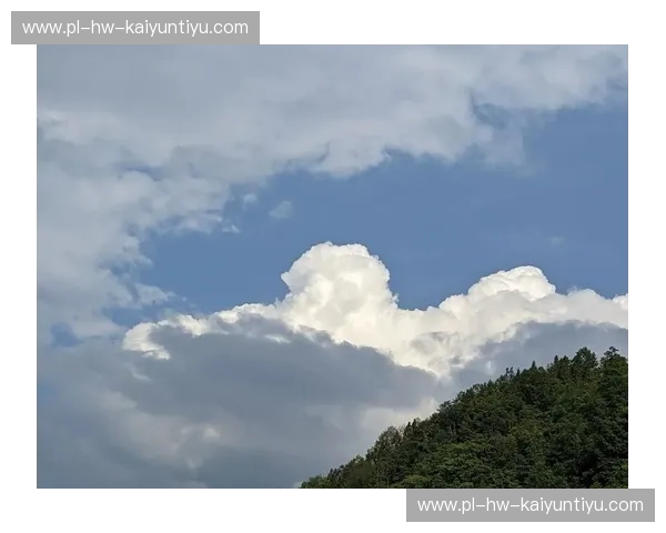 开云手机端：让云端体验走进你的掌心